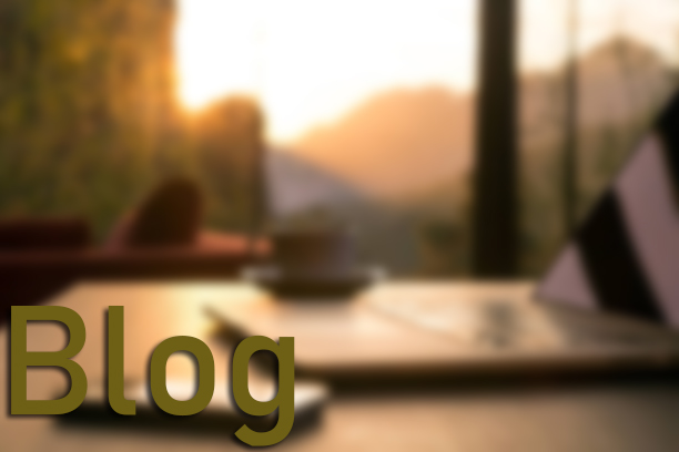 Apartman Yönetim Web Sitesi